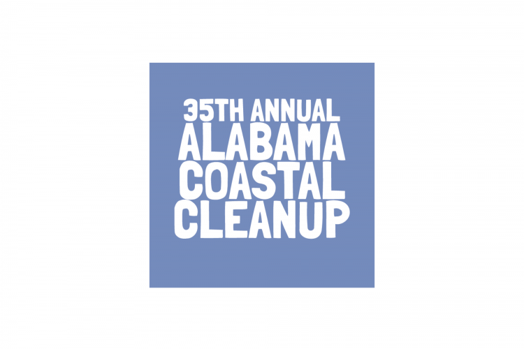 annual coastal cleanup
