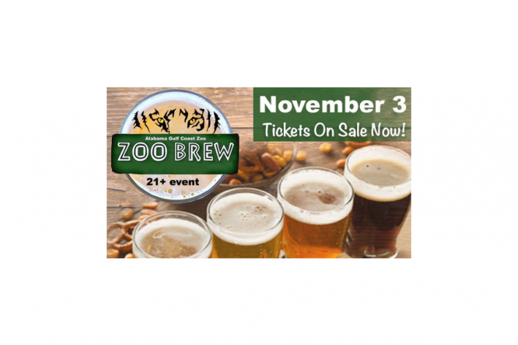 zoo brew