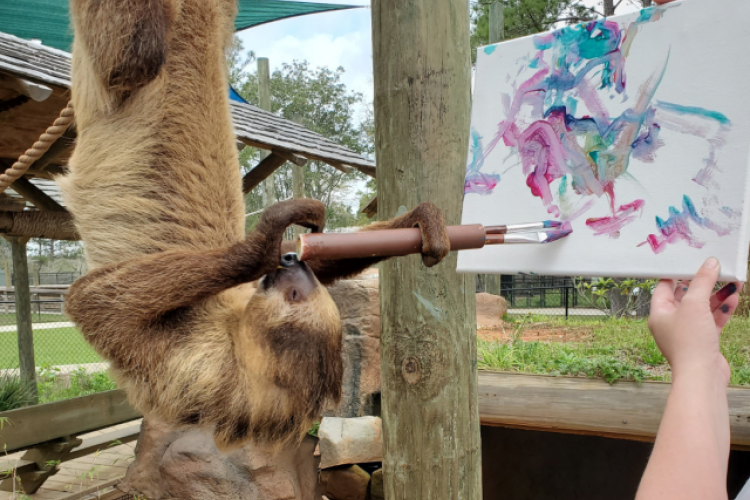 art on the wild side