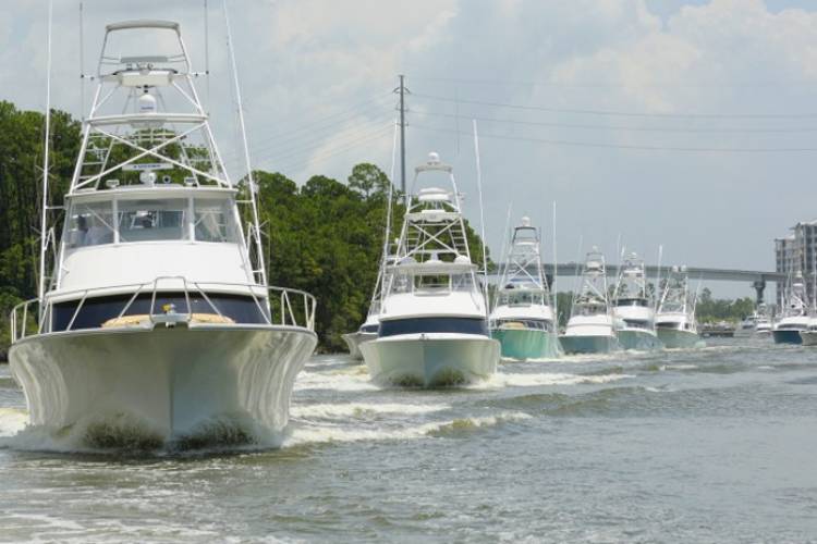blue marling grand championship blue marlin grand championship