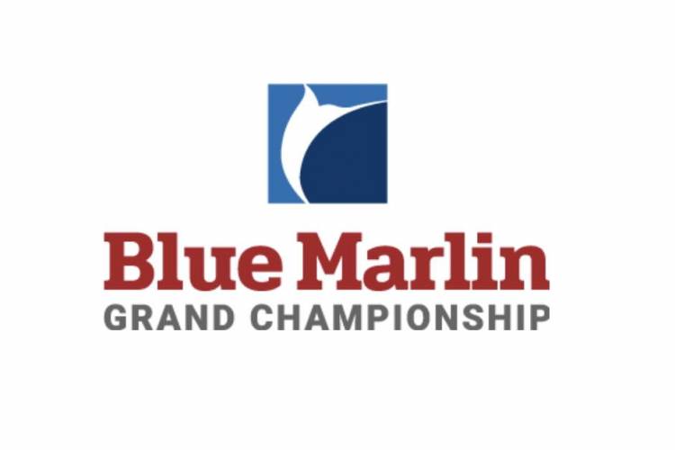 blue marlin grand championship