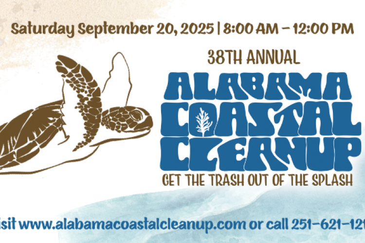 coastal cleanup coastal cleanup