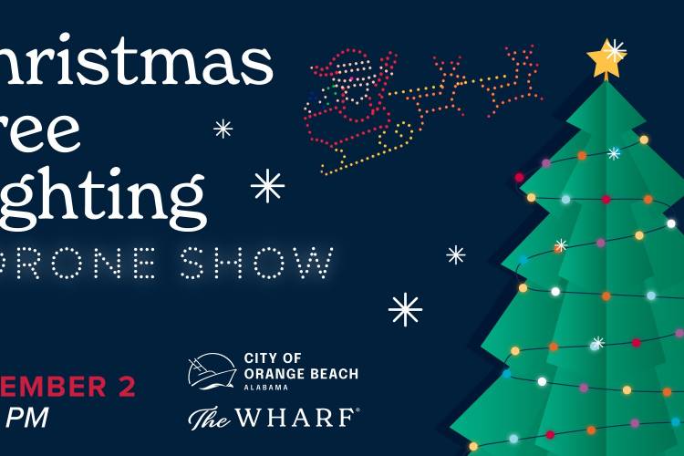 christmas tree lighting drone show