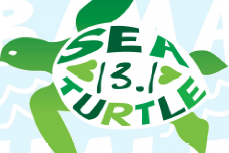 sea turtle half marathon sea turtle half marathon
