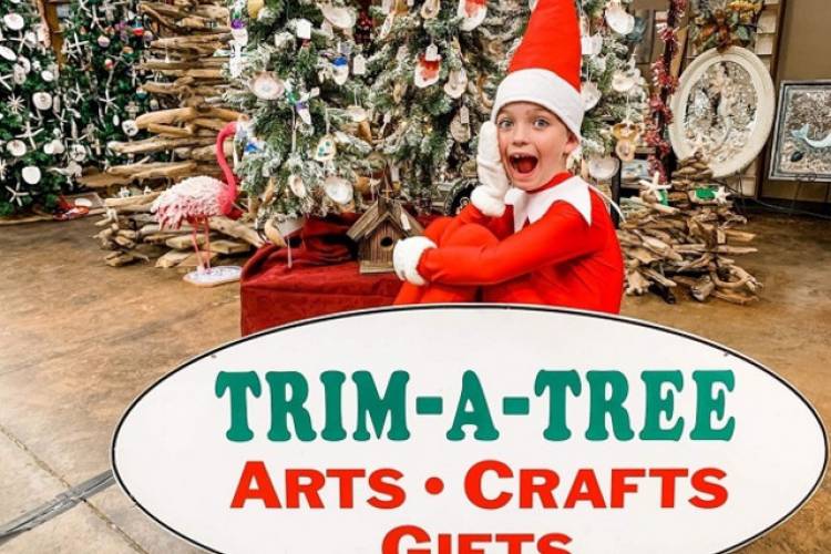 trim a tree trim a tree